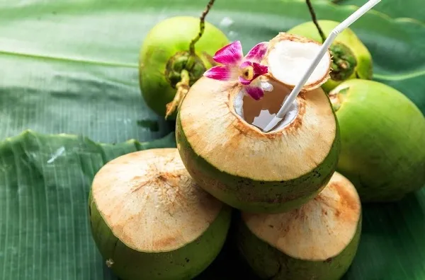 Những loại trái cây không có hạt - trái dừa