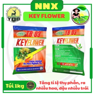 KEY FLOWER - RA NHIỀU HOA, ĐẬU NHIỀU TRÁI