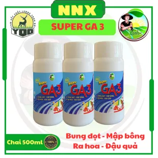 SUPER GA3 - BUNG ĐỘT MẬP BÔNG, RA HOA ĐẬU QUẢ