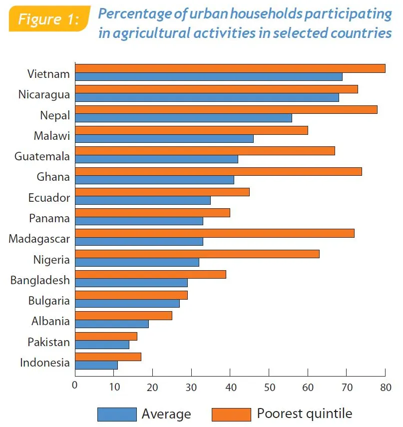 Nông nghiệp đô thị giúp cung cấp thực phẩm tươi ngay tại nơi tiêu dùng