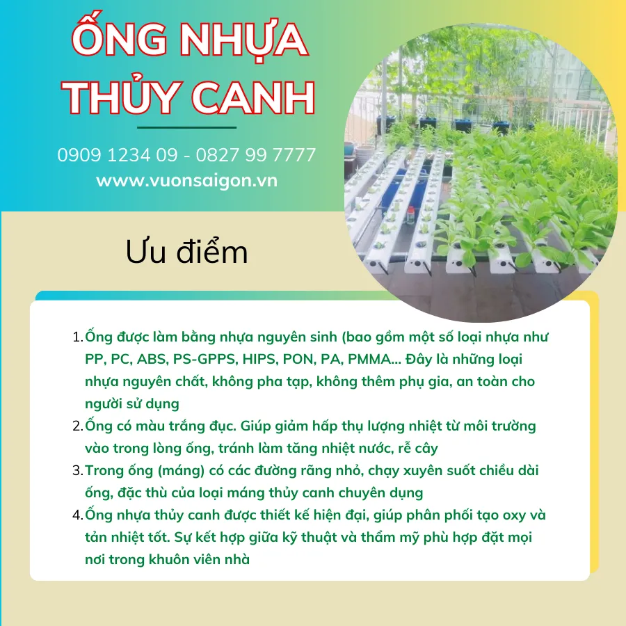 Ong Nhua Thuy Canh (3)