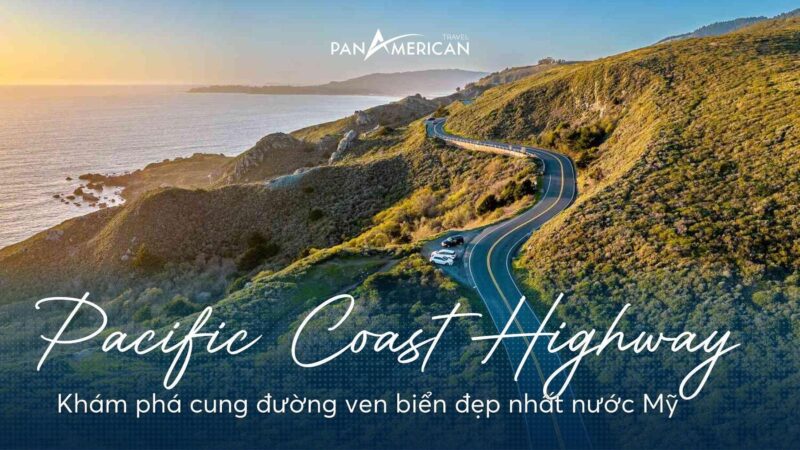 Khám Phá Toàn Diện Về Hoa Của Cây Đinh Lăng: Đặc Điểm, Thời Gian Nở và Ý Nghĩa