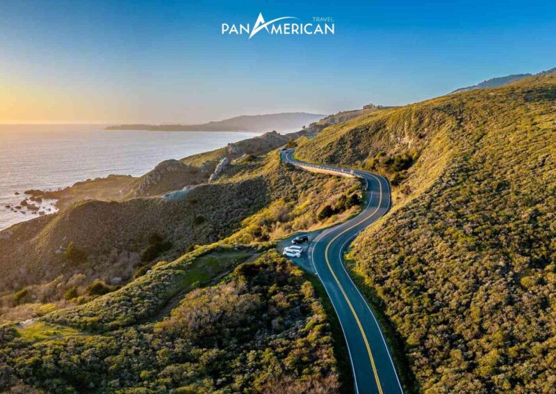 Khám Phá Toàn Diện Về Hoa Của Cây Đinh Lăng: Đặc Điểm, Thời Gian Nở và Ý Nghĩa