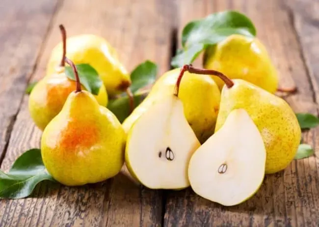 Quả lê căng mọng, giàu dinh dưỡng