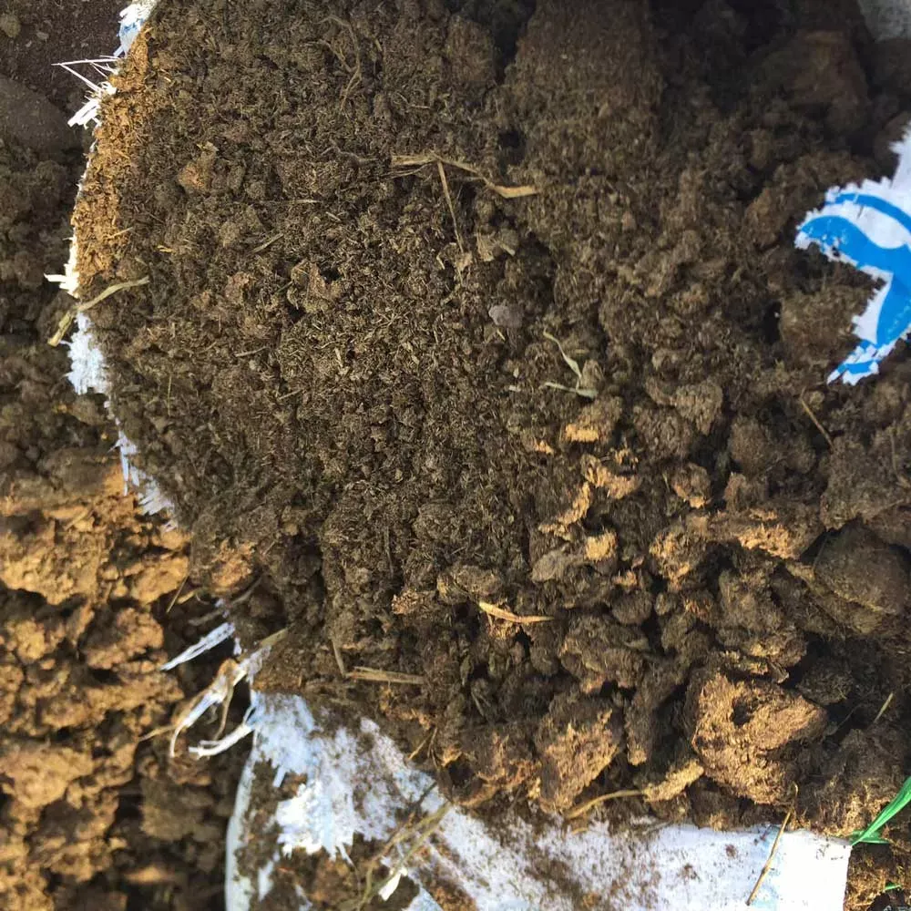 Phân bò khô cung cấp dinh dưỡng hữu cơ tự nhiên cho giá thể