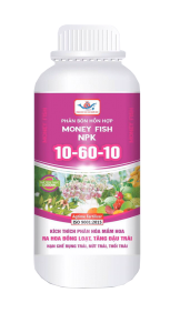 Phân Bón 10-60-10: Chìa Khóa Kích Hoa, Đậu Trái Vượt Trội Cho Nông Sản Việt