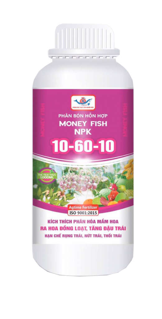 Phân Bón 10-60-10: Chìa Khóa Kích Hoa, Đậu Trái Vượt Trội Cho Nông Sản Việt
