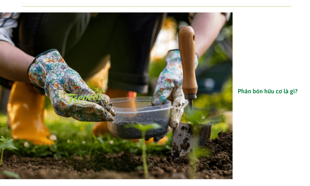 phan-bon-huu-co-la-gi