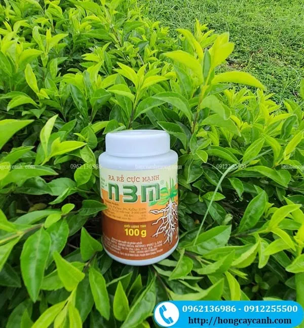 Phân Bón Lá Ra Rễ Cực Mạnh N3M