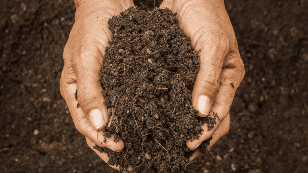 Phân Bón Làm Tăng Độ Chua Của Đất: Bí Quyết Năng Suất Nông Nghiệp Bền Vững