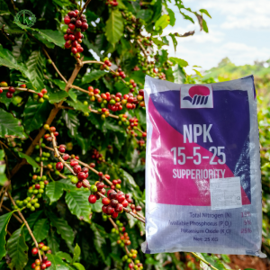 Phân Bón NPK Là Gì? Giải Mã Sức Mạnh Dinh Dưỡng Cho Mọi Cây Trồng