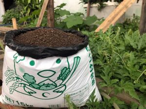 Phân Bón Tan Chậm Có Kiểm Soát: Chìa Khóa Cho Nông Nghiệp Bền Vững Hiện Đại