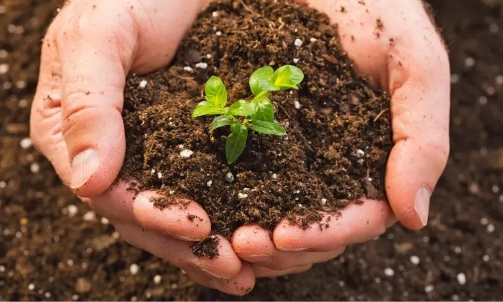 Quy trình sản xuất phân bón vi sinh vật