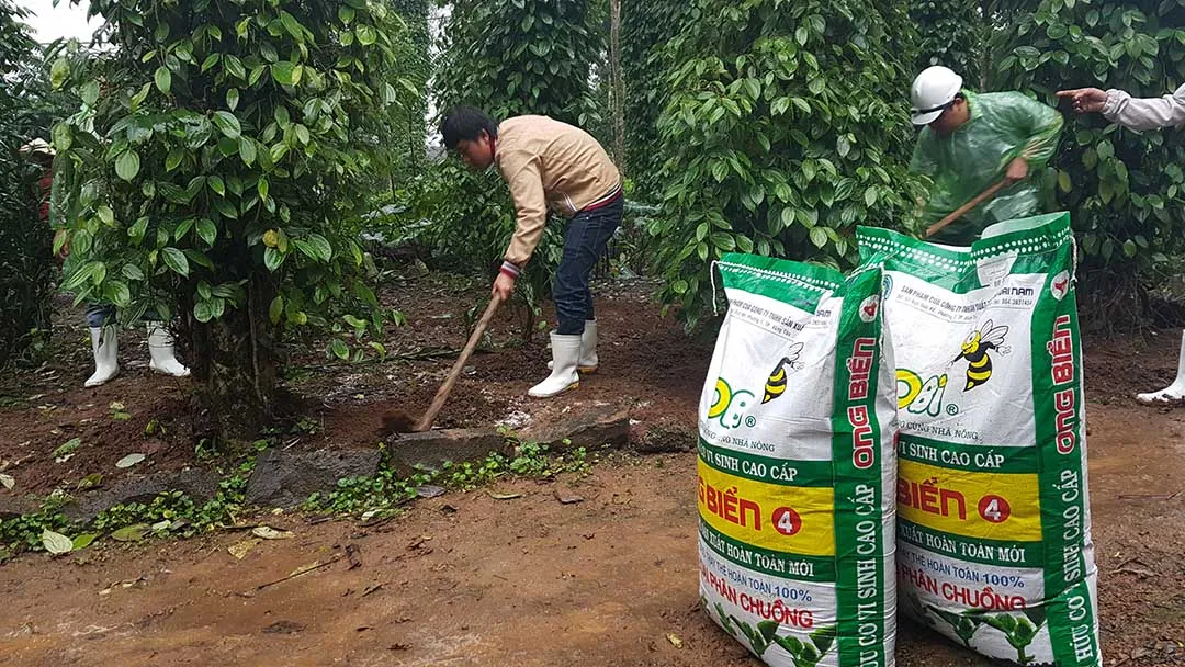 phân hữu cơ cải tạo đất tốt