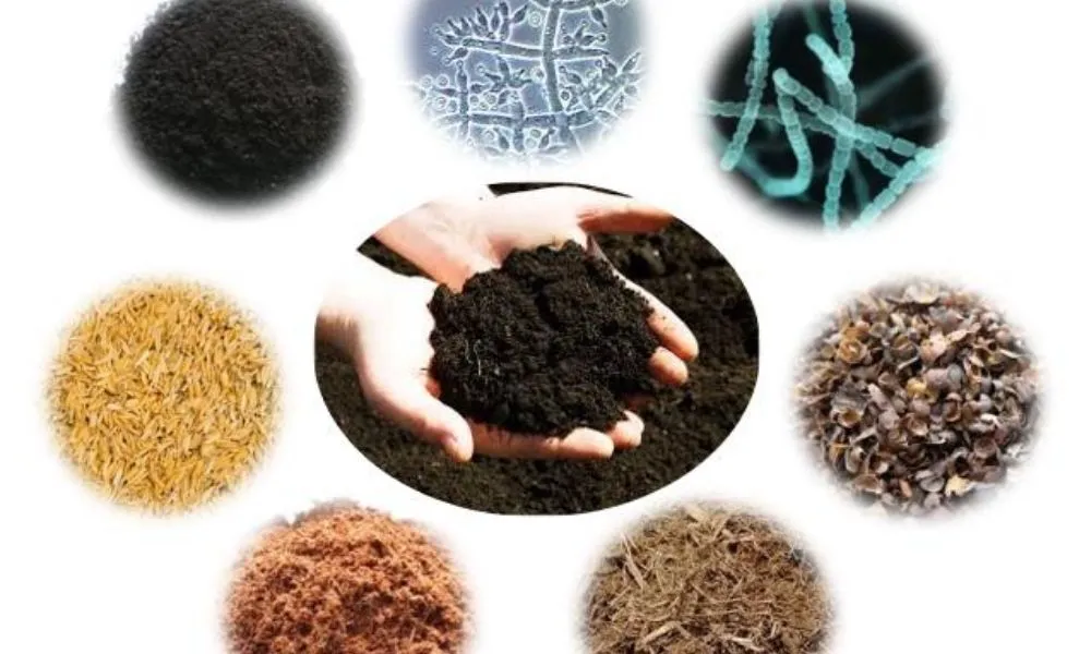 Phân bón hữu cơ vi sinh là gì? Công dụng và cách dùng hiệu quả