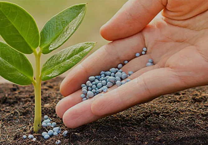 Các dòng sản phẩm phân lân tiêu chuẩn của Miền Nam