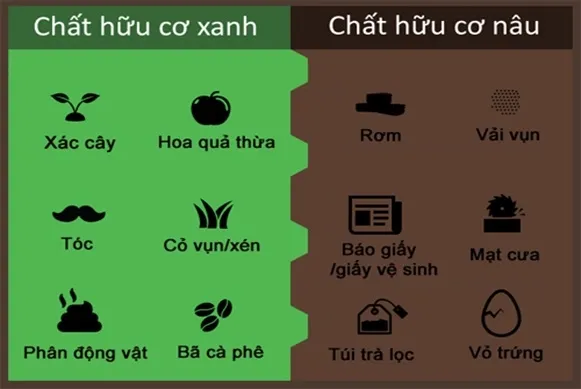 Phân loại rác hữu cơ xanh và nâu là bước quyết định chất lượng phân bón vi sinh sau này