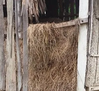 Tận dụng phụ phẩm nông nghiệp tạo phân rác giúp cải thiện cấu trúc đất 2026.