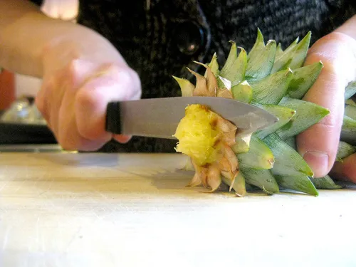 Bóc các lớp lá già phía dưới để làm lộ rõ phần gốc gỗ nơi rễ sẽ đâm ra mạnh mẽ