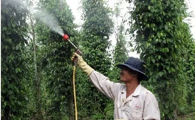 kỹ thuật phun phân bón lá cho cây trồng đô thị