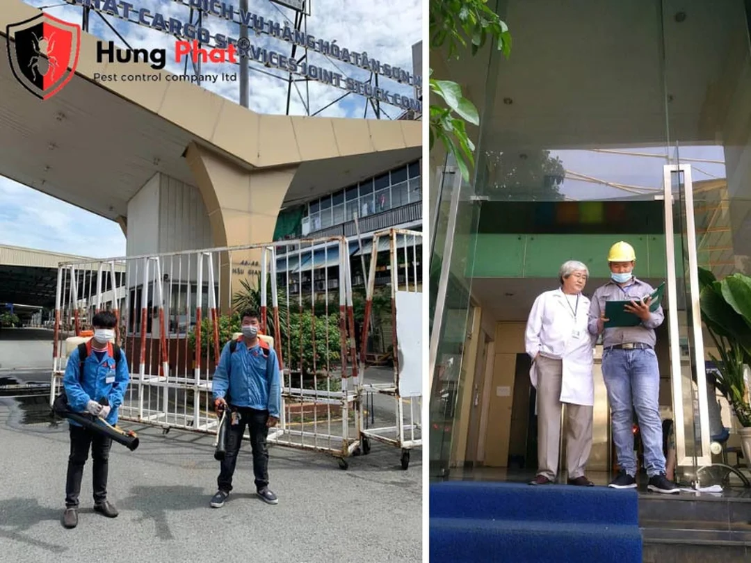 phun thuốc diệt côn trùng tại nhà khu vực sinh hoạt phun thuốc diệt côn trùng tại nhà khu vực sinh hoạt