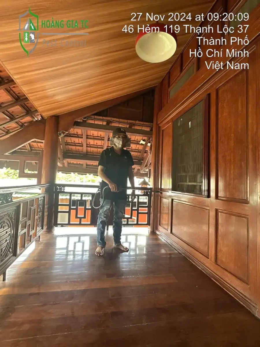 phun thuốc diệt côn trùng tại nhà trong không gian sống phun thuốc diệt côn trùng tại nhà trong không gian sống
