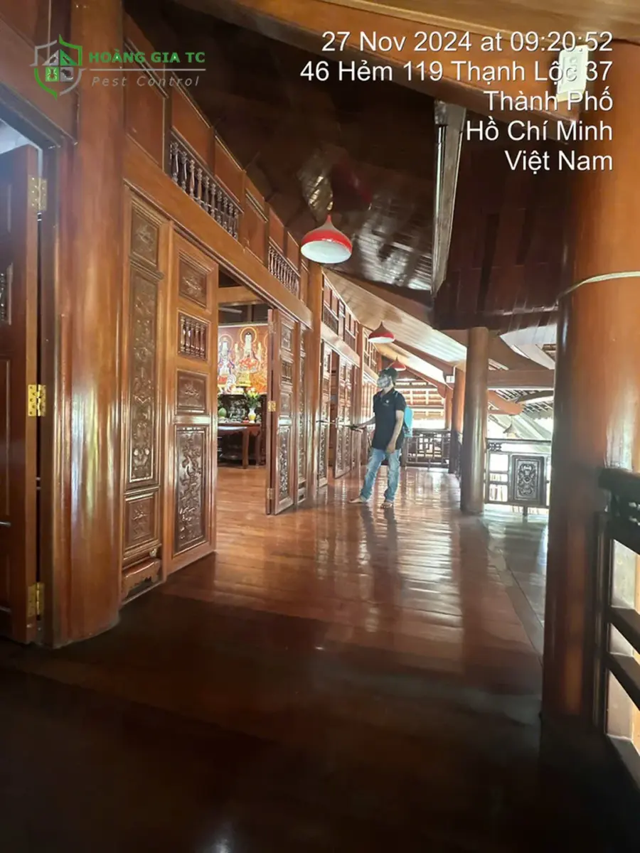 phun tồn lưu và quy trình phun thuốc tại nhà phun tồn lưu và quy trình phun thuốc tại nhà