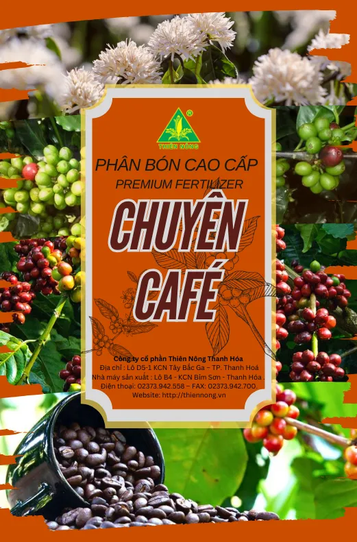 Phân bón Thiên Nông GreenNutri cho cây cà phê tại khu vực Sơn La