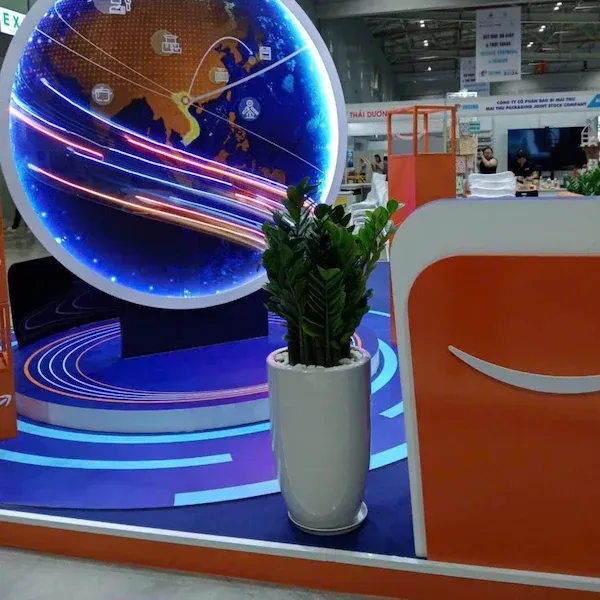 cây kim tiền văn phòng