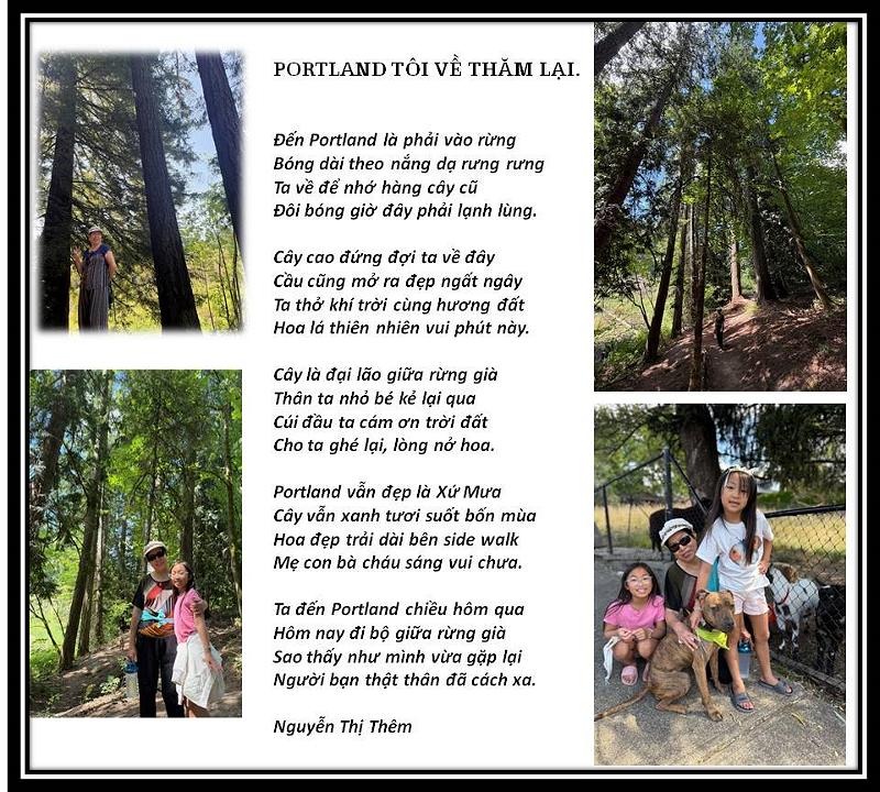 Bài Văn Tả Cây Hoa Hồng Nhung – Nàng Công Chúa Kiêu Sa Trong Vườn Nhà