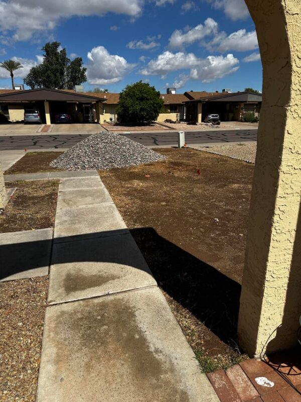 Cỏ Trồng Sân Vườn: Bí Quyết Chọn Lựa Loại Cỏ Phù Hợp Cho Ngôi Nhà Xanh Mát