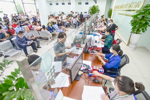 Hết Thời Hạn Sử Dụng Đất Trồng Cây Lâu Năm: Thủ Tục Gia Hạn Và Khả Năng Thu Hồi