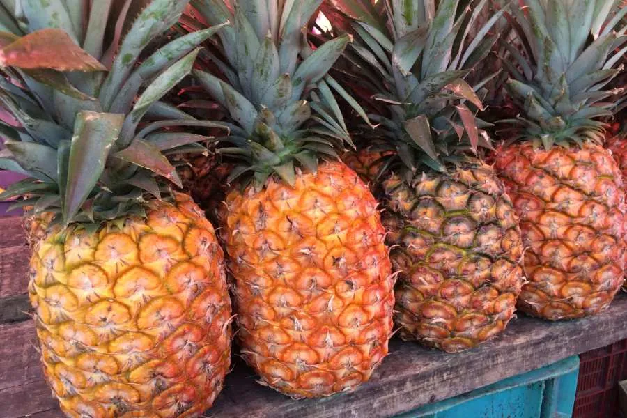 Quả thơm được ví như con rồng với ý nghĩa thịnh vượng