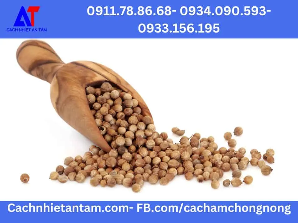 Sơ đồ quy trình xử lý và bảo quản hạt giống sau thu hoạch