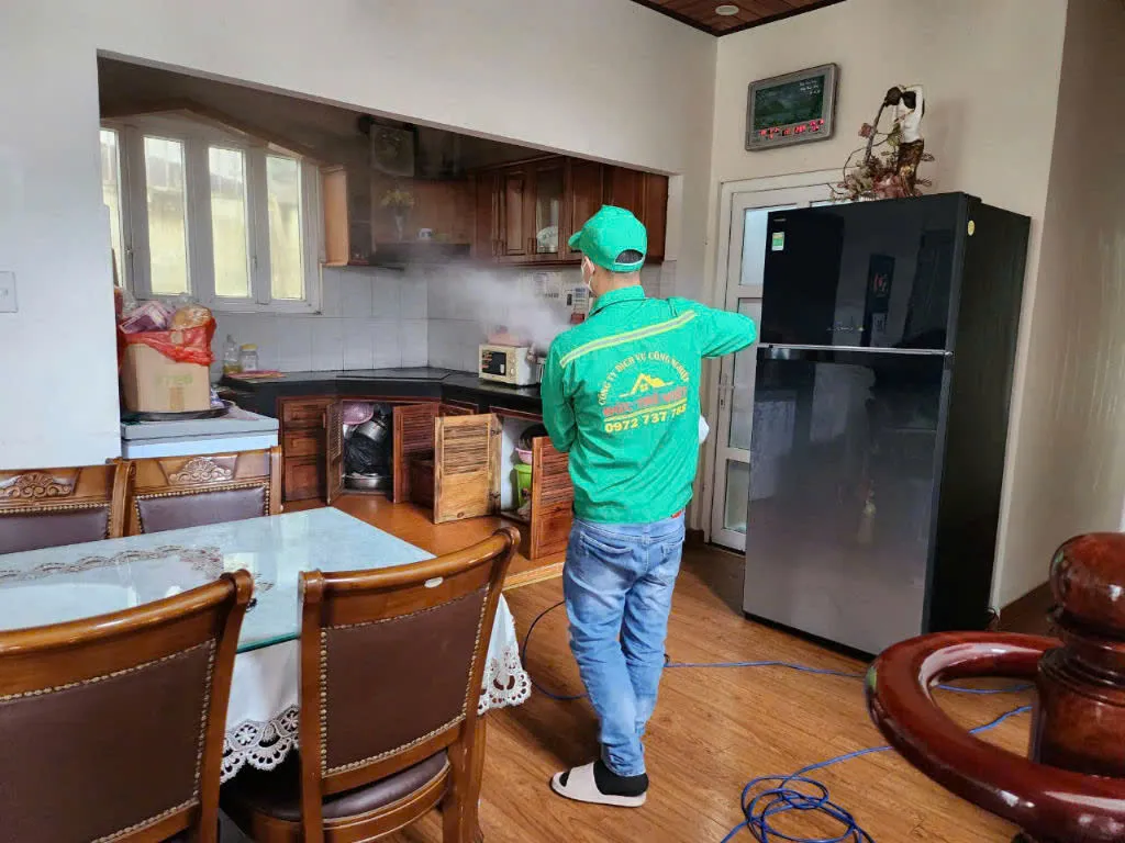 Quy trình diệt côn trùng chuyên nghiệp tại Đà Lạt