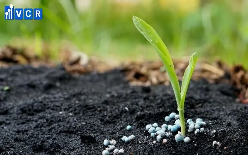 Kiểm soát mật độ vi sinh vật là yếu tố tiên quyết trong sản xuất phân bón vi sinh