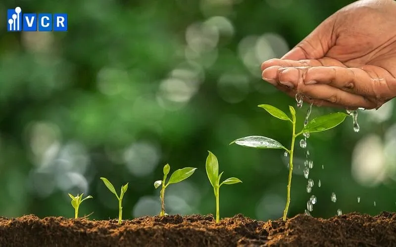 Phân hữu cơ vi sinh giúp cây trồng phát triển bền vững và an toàn cho đất