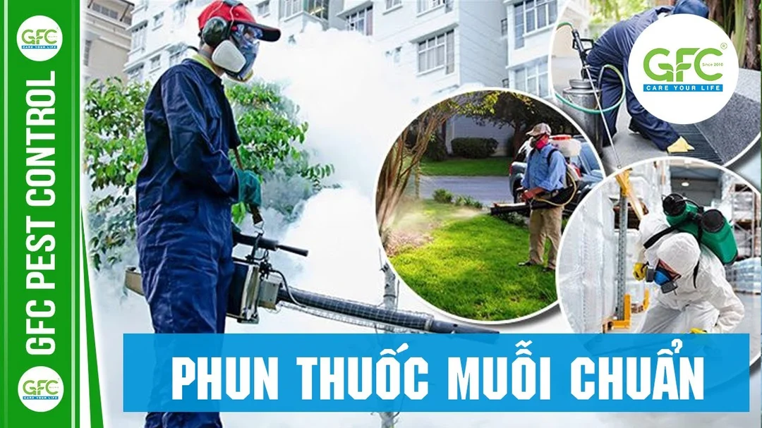 Quy trình và kỹ thuật phun muỗi chuẩn thực tế