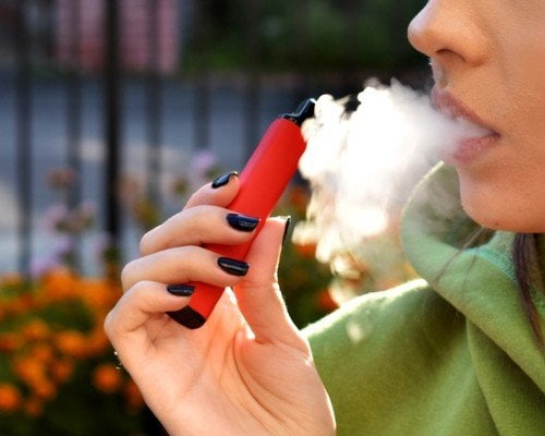 Lựa Chọn Lý Tưởng: Các Loại Cây Thường Trồng Trong Trường Học Giúp Không Gian Xanh Mát, An Toàn