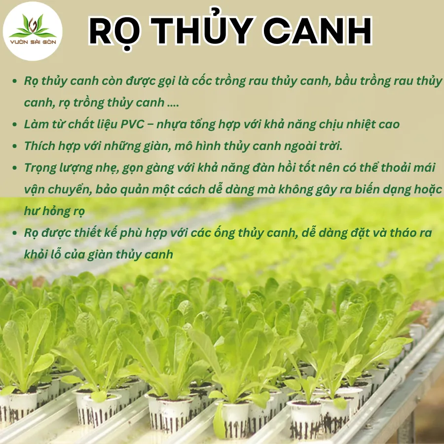 Ro Thuy Canh Trong Rau (4)