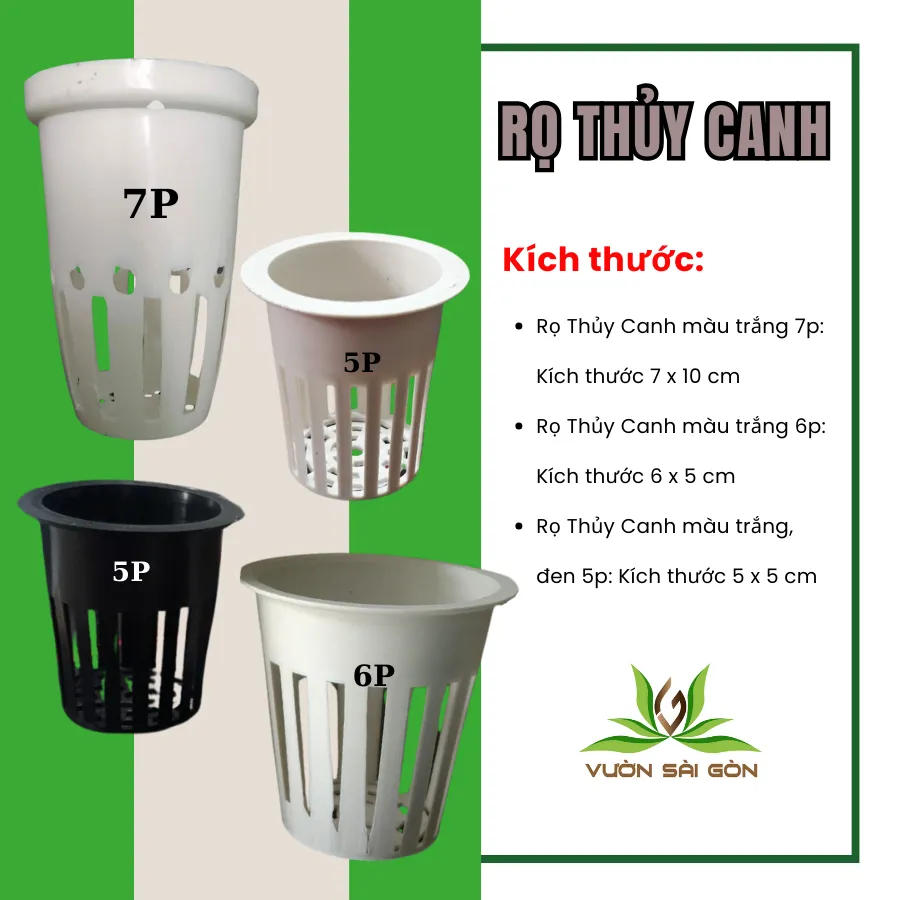 Ro Thuy Canh Trong Rau