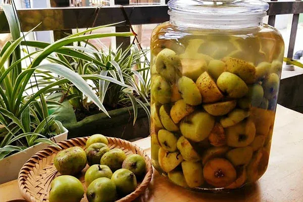 Rượu táo mèo màu sắc trong veo