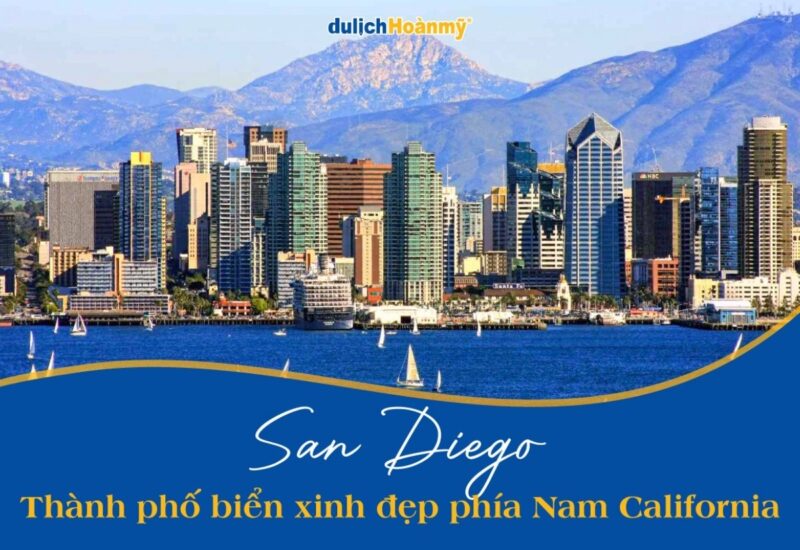 Khám Phá Thế Giới cây tiểu cảnh trong nhà: Biến Không Gian Sống Thêm Xanh Mát và Đầy Phong Cách