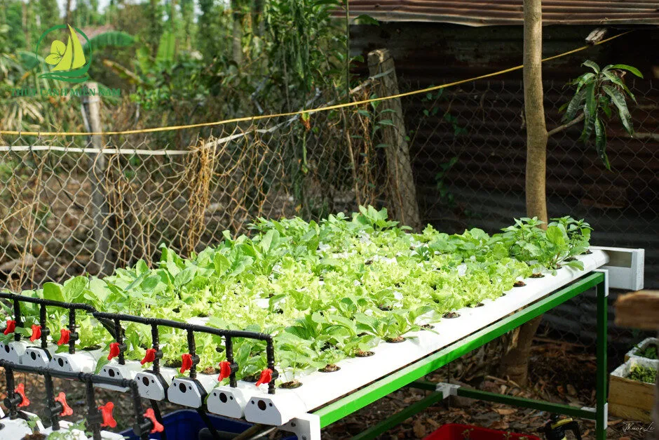 mo-hinh-gian-trai-ngang