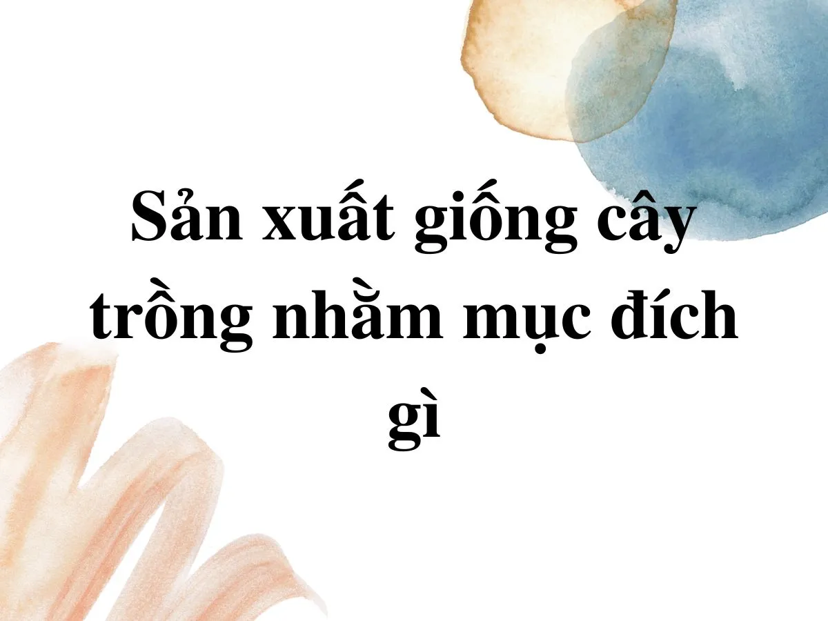 Sản xuất giống cây trồng nhằm mục đích gì - Quy trình tạo ra hạt giống và cây con chất lượng