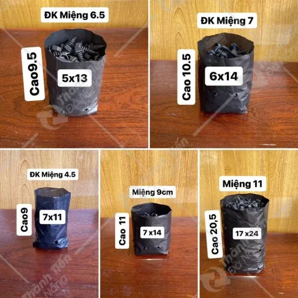 Hệ thống máy móc sản xuất túi ươm hiện đại theo yêu cầu khách hàng