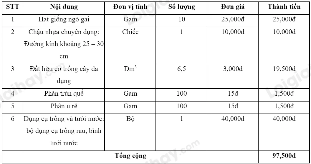 Chậu nhựa trồng ngô gai với lỗ thoát nước đầy đủ, đặt trên khay hứng nước