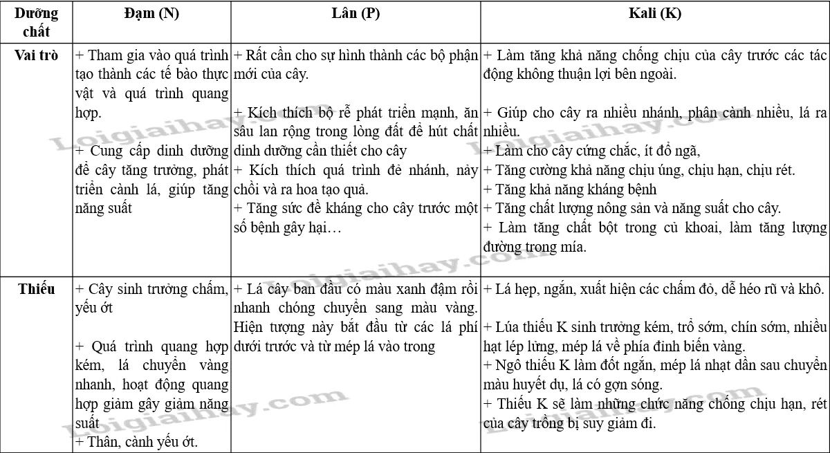 Các loại phân bón hóa học phổ biến