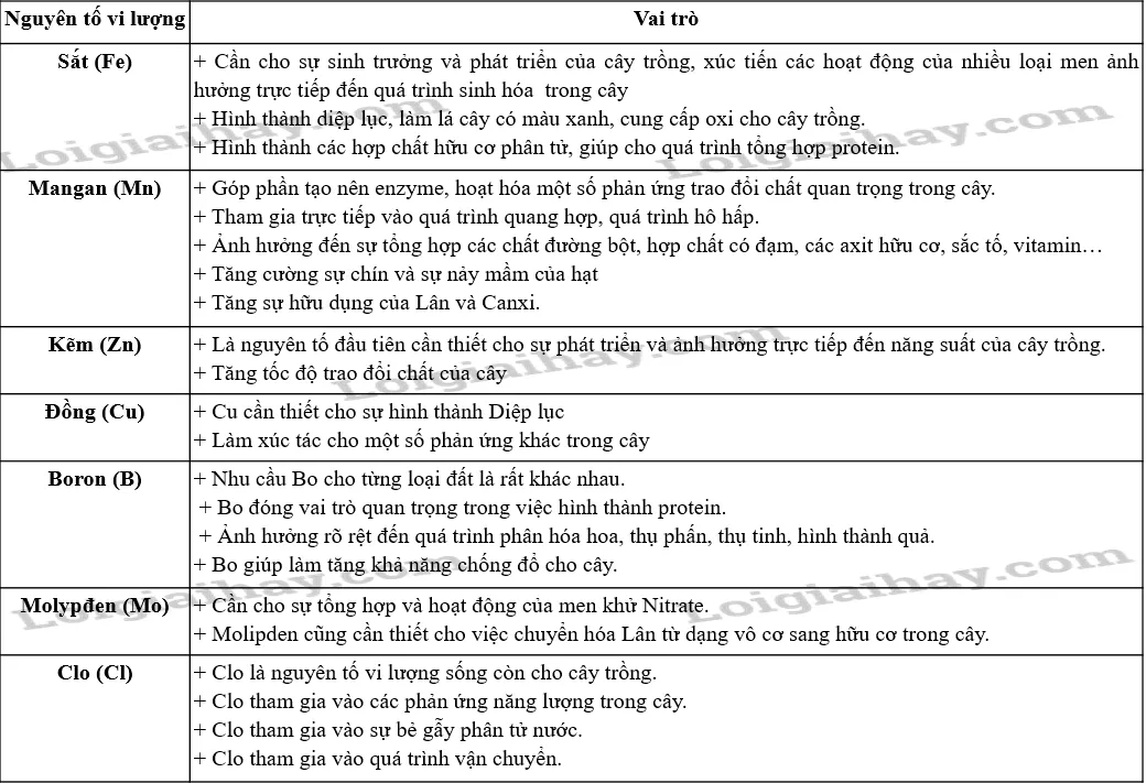 Vai trò nguyên tố vi lượng