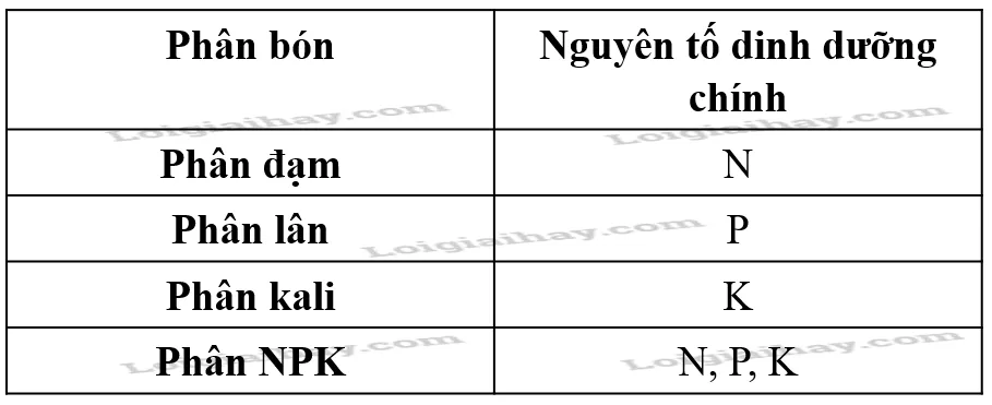 Hướng dẫn bón phân đúng cách
